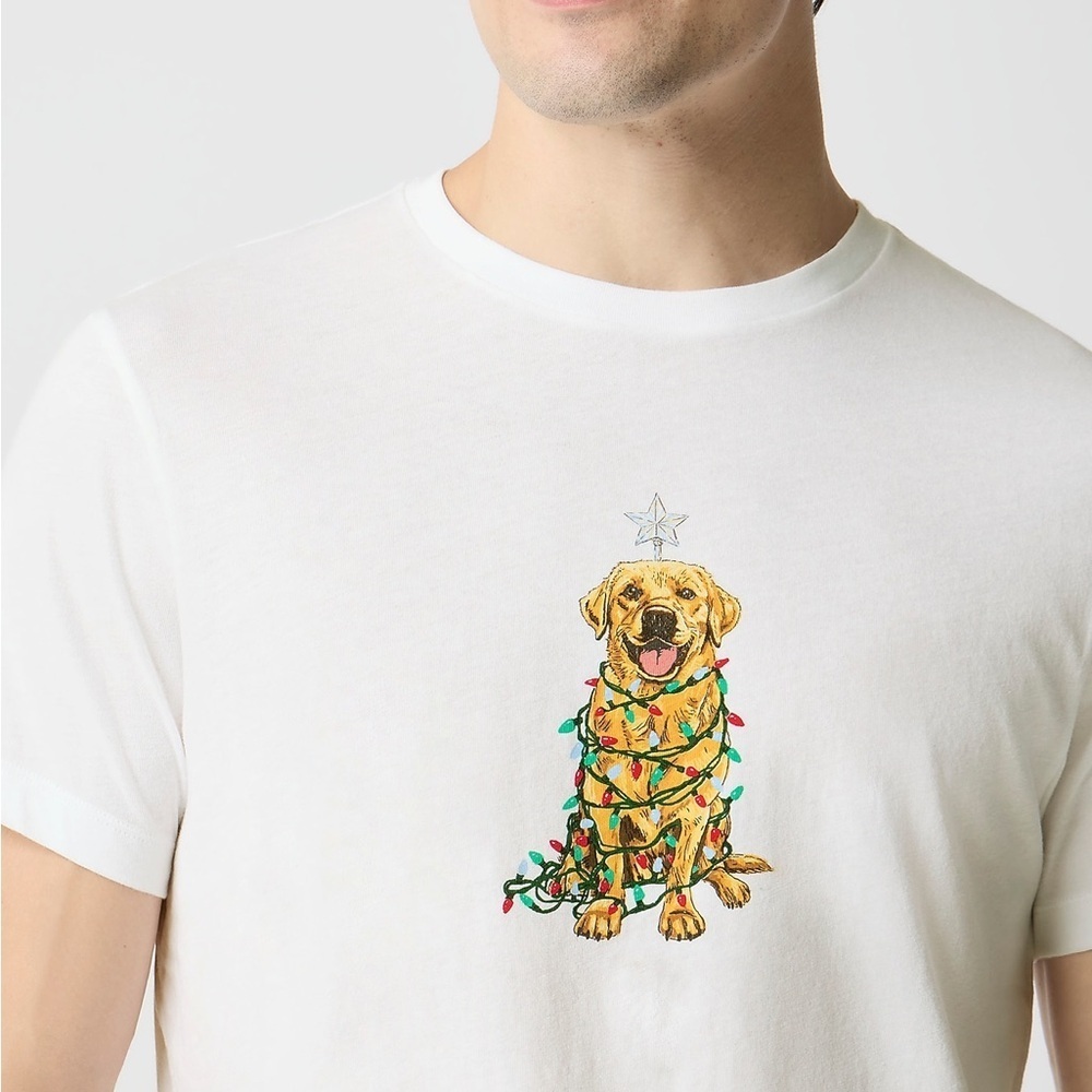 J Crew Men’s Golden retriever in holiday lights graphic tee XL